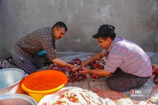 دبب