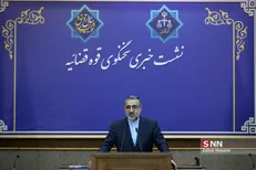 قدردانی سخنگوی قوه قضاییه از راننده اسنپ/ پرونده نجفی به قدری شفاف بود که نیازی به زمان بیشتر نداشت