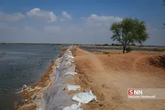 احتمال طغیان رودخانه‌ها / کاهش باران در تهران
