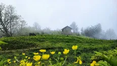 کاهش دما، باران و وزش باد در راه اردبیل