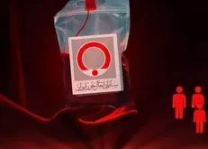 ۲۴ هزار نفر در چهارمحال و بختیاری خون اهدا کردند