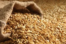۲ کشتی حامل گندم روسیه به زودی راهی ایران می‌شوند