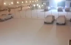 پردیس سفیدپوش شد