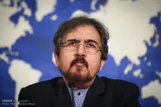 قاسمی از سانحه سقوط هواپیمایی اندونزیایی ابراز تاسف کرد