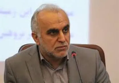 دولت در حال تهیه شبکه نظارت برای مقابله با گران&zwnj;فروشی است