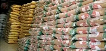 توزیع ۸۰۰ تُن برنج در استان بوشهر