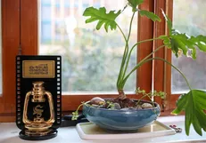 جشنواره مردمی فیلم عمار هفته سوم دی برگزار می‌شود