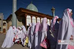 زیسرب