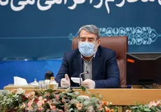 رحمانی فضلی: تعداد نمایندگان مجلس بایدافزایش یابد