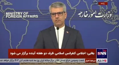 بقایی: جلسه امروز شورای امنیت مهم است/ انتظار می&zwnj;رود شورای امنیت به وظایف خود طبق فصل هفتم منشور عمل بکند