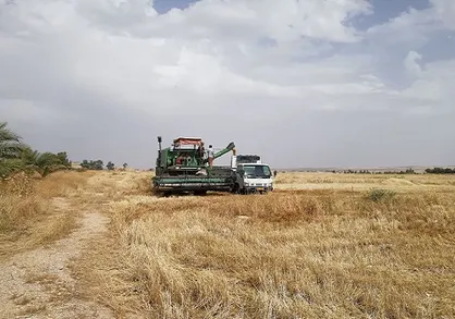 ۲۱ تن جو از مزرعه آموزشی و پژوهشی مهران دانشگاه ایلام برداشت شده است