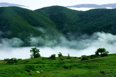 جنگل‌های هیرکانی ایران در فهرست یونسکو ثبت جهانی شد
