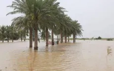 کمک ۸ میلیاردی پزشکی قانونی به سیل‌زدگان