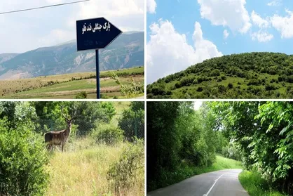 "جنگل فندقلو اردبیل" بهشت مینیاتوری و نماد زیبایی&zwnj;های طبیعی و تنوع اقلیمی