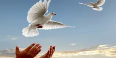 زندانی بدهکار ۹۳ ساله با کمک ستاد دیه استان تهران آزاد شد
