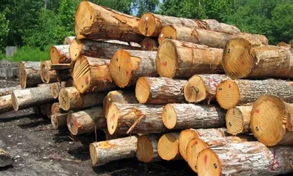 کشف یک هزار و ۳۲۴ تن فرآورده&zwnj;های جنگلی قاچاق