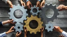 شرکت‌های خلاق را حمایت هدفمند به سوی رشد و رونق رهنمون می‌کند