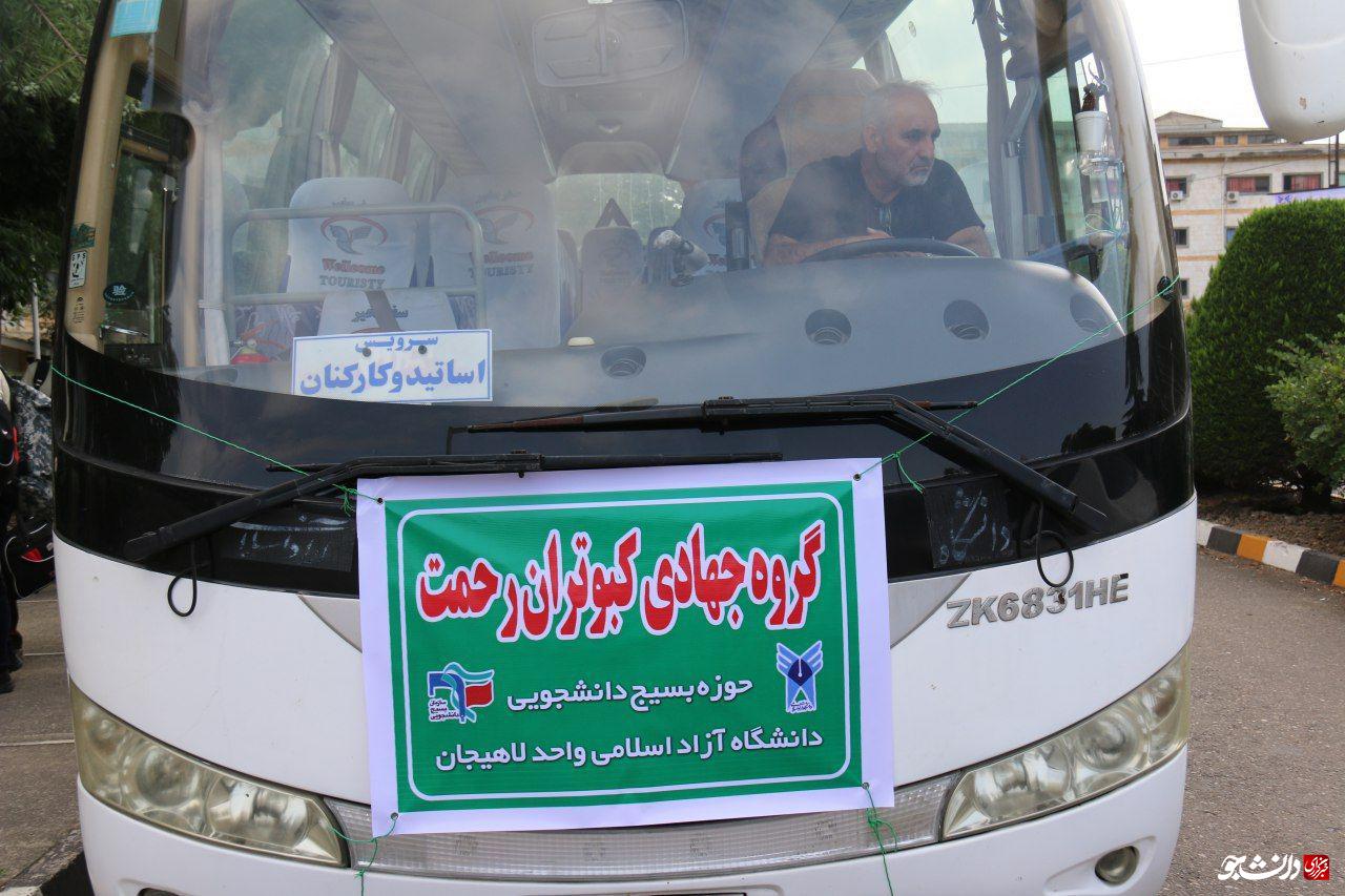 کبوتر رحمت