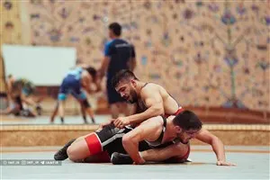 شذباشتیبتش