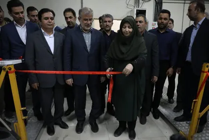 شینا انصاری: توسعه انرژی&zwnj;های تجدیدپذیر در اولویت دولت چهاردهم قرار دارد