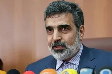 کمالوندی: نیروگاه بوشهر کاهش بهره‌وری ندارد