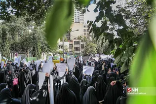 سیلشس