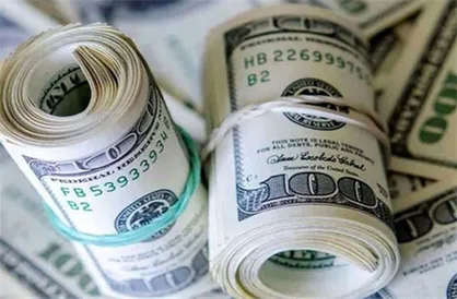 کشف دلار&zwnj;های قاچاق در فرودگاه امام خمینی (ره)