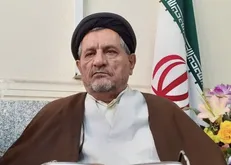 نایب رئیس کمیسیون اصل نود: رایزنی‌های بین مجلس و‌دولت برای حل مشکل حسین زاده صورت گرفته است