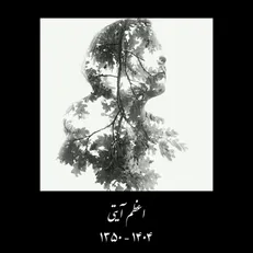 اعظم آیتی نویسنده و منتقد درگذشت
