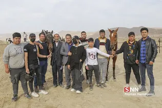 اسب