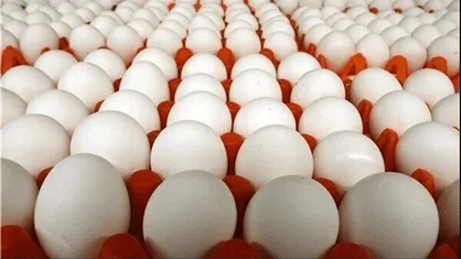 تخم&zwnj;مرغ پشت وانتی چند