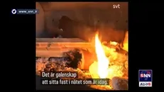 بحران انرژی در سوئد