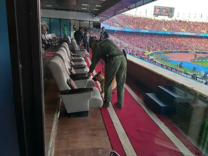 سگ&zwnj;های بمب&zwnj;یاب در جایگاه vvip