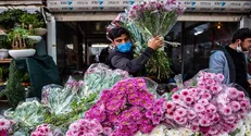 مهلت یک‌ماهه برای جابجایی غرفه‌های بازار گل امام رضا تعیین شد