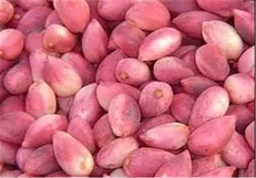 جنگ پسته‌ای ایران و امریکا