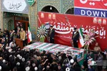 دبب