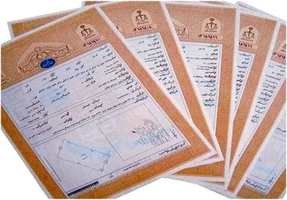 صدور سند برای یک میلیون و ۹۰۰ هزار قطعه کشاورزی