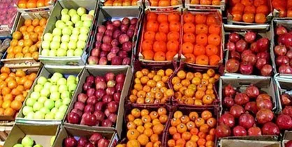 افزایش ۳۳ درصدی میوه برای تنظیم بازار شب عید &shy;