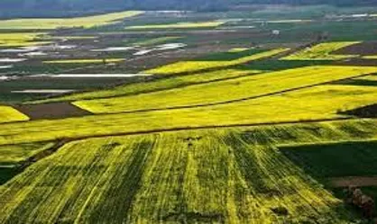 پیشرفت چشمگیر طرح&zwnj;های آبرسانی در گچساران / بیش از ۵۸۷۰ هکتار اراضی تحت پوشش شبکه دشت لیشتر