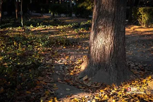 89879