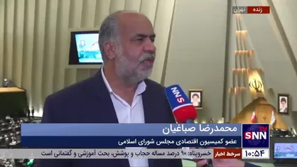 صباغیان: امیدواریم با تشکیل وزارت بازرگانی، دولت دیگر بهانه&zwnj;ای برای کنترل قیمت&zwnj;ها نداشته باشد