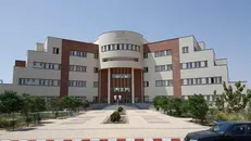 چلداوی: دانشگاه شاهد باید در عرصه بین‌الملل نقش ایفا کند / موضوع همسان‌سازی به عنوان یک غده چرکین باید حل شود