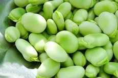 خواص اعجاب انگیز باقالا در درمان میگرن