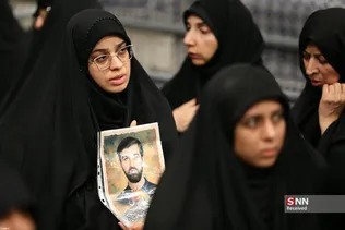 دبب