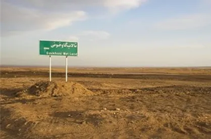 پیشنهاد طرحی دانشگاهی برای احیای تالاب گاوخونی