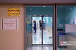 شسب