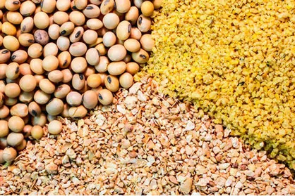 وابستگی ۸۴ درصدی صنعت روغن به واردات قابل قبول نیست