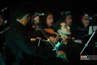 دبب