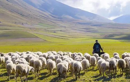 روايت خانواده ۱۳ نفره كه در سختی روزگار به خودكفايی رسيدند