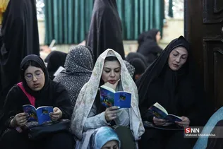 دبب